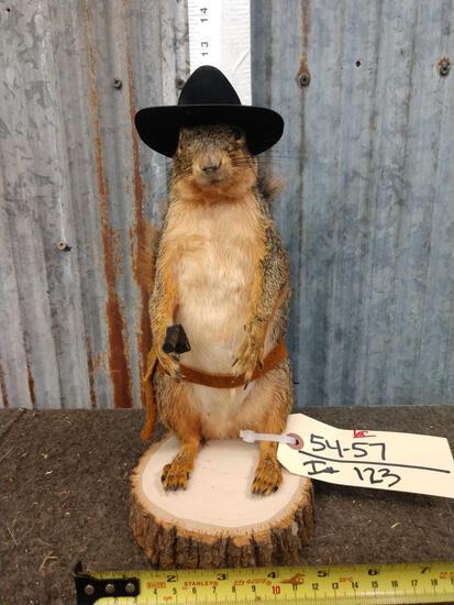 Cowboy Sheriff Squirrel Full Body Taxidermy: 54.57 Brand new mount