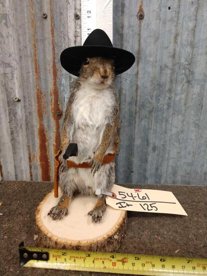 Cowboy Sheriff Squirrel Full Body Taxidermy: 54.61 Brand new mount