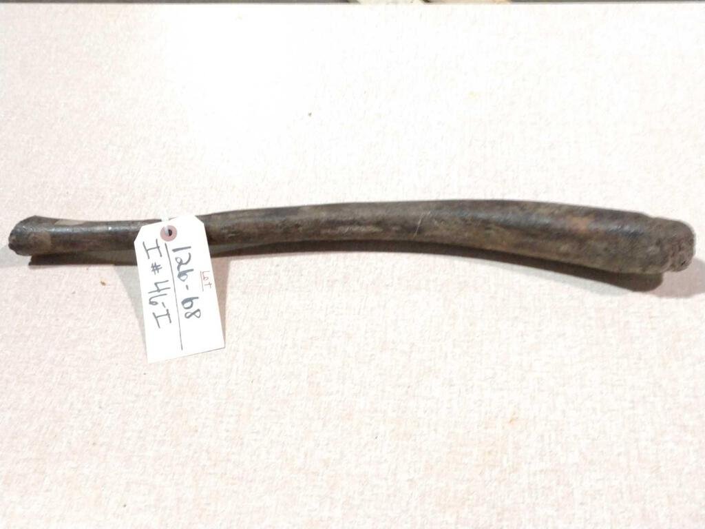 Partially Fossilized Walrus Oosik ( penis ): 126.68 Probably around the Pleistocene period about 22" long