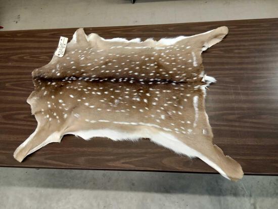 Soft Tanned Axis Deer Skin: 22.65 Nice markings nice tan