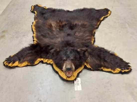 Black Bear Rug Taxidermy: 43.108 Thic prime fur felt edges claws intact about 62" long x 52" wide