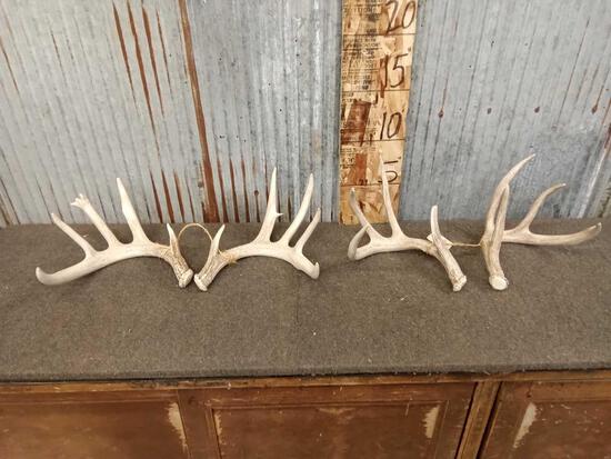 2 Sets Of Whitetail Shed Antlers: 22.24 Nice Antler total net weight 6.8lbs