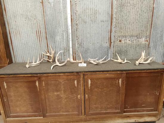 Group Of 7 Freak Nontypical Whitetail Shed Antlers: 100.28 Folded " Melted " tines , double main beam , & more good variety includes one cut off with drop tine net weight 9.4 lbs