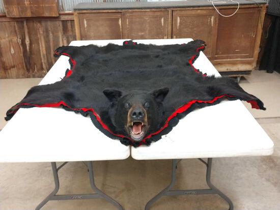 BIG Black Bear Rug Taxidermy: 15.31 This is one of the biggest black bear rugs you will find ! Nice shiny black fur with huge claws intact on his massive paws and a huge head . About 84" long x 82" wide