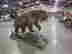 item-124907892=4