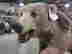 item-124907892=6