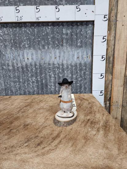 Sheriff Rat Full Body Taxidermy Mount: 10.84 Brand new mount