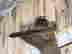item-135906208=4
