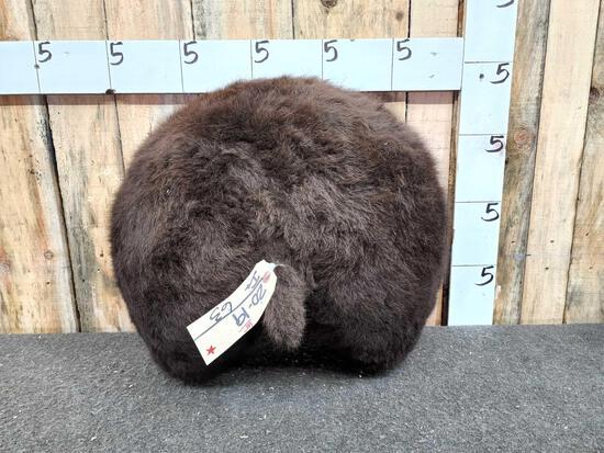 Black Bear Rump Taxidermy (1 of 3)