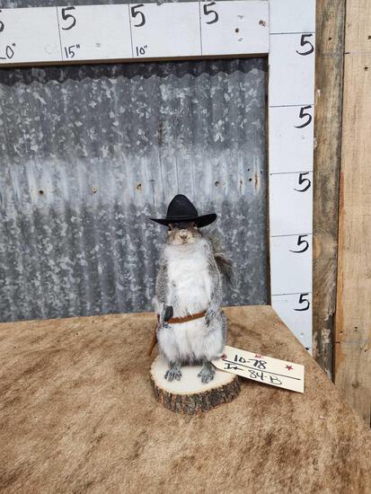 Sheriff Squirrel Full Body Taxidermy (1 of 4)