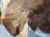 item-135906361=4