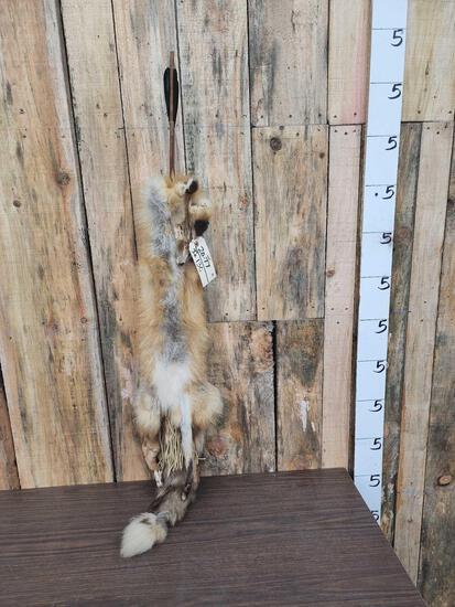 Red Fox Fur Quiver & 2 Arrows (1 of 4)