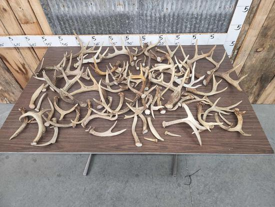 18.8 lbs Of Whitetail Antler (1 of 4)