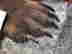 item-135904795=11