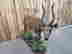 item-135904801=3