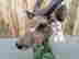 item-135904801=6