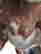 item-135904842=12