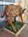 item-135904842=16
