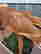 item-135904842=17