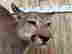 item-135904889=5
