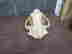 item-135905066=10