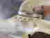 item-135905066=11