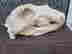 item-135905066=6