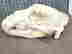 item-135905066=9