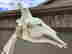 item-135905116=4