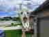 item-135905116=5