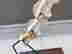 item-135905116=9
