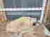 item-135905150=5