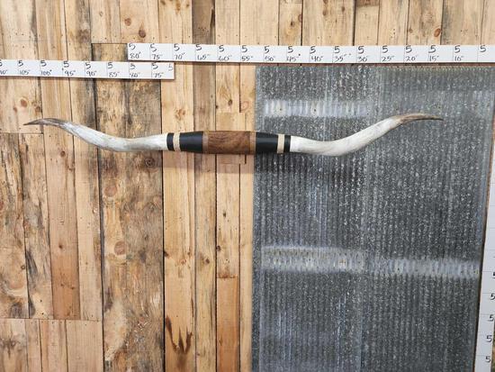 Big Mounted Texas Longhorns Taxidermy (1 of 3)