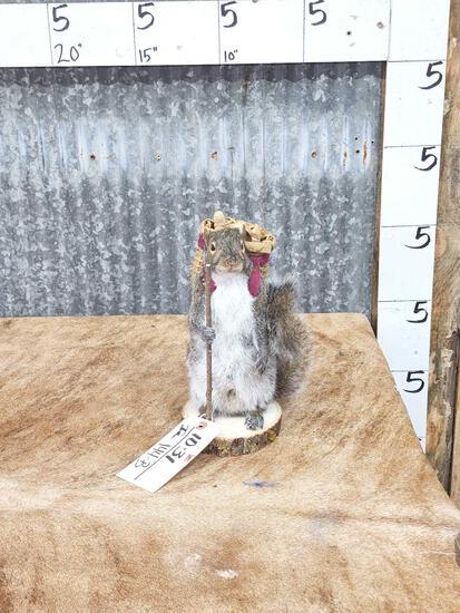 Back Packing Squirrel Full Body Taxidermy Mount (1 of 5)