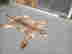item-135905385=2
