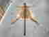 item-135905385=4