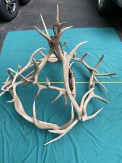 Elk Antler Chandelier (1 of 5)