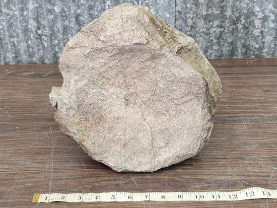 Fossilized Saurapoda Dinosaur Vertebrae (1 of 6)