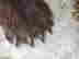 item-136567064=7