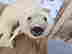 item-136661525=4
