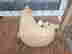 item-136661525=6
