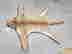 item-137203169=3