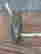 item-135903964=2