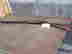 item-135904265=4