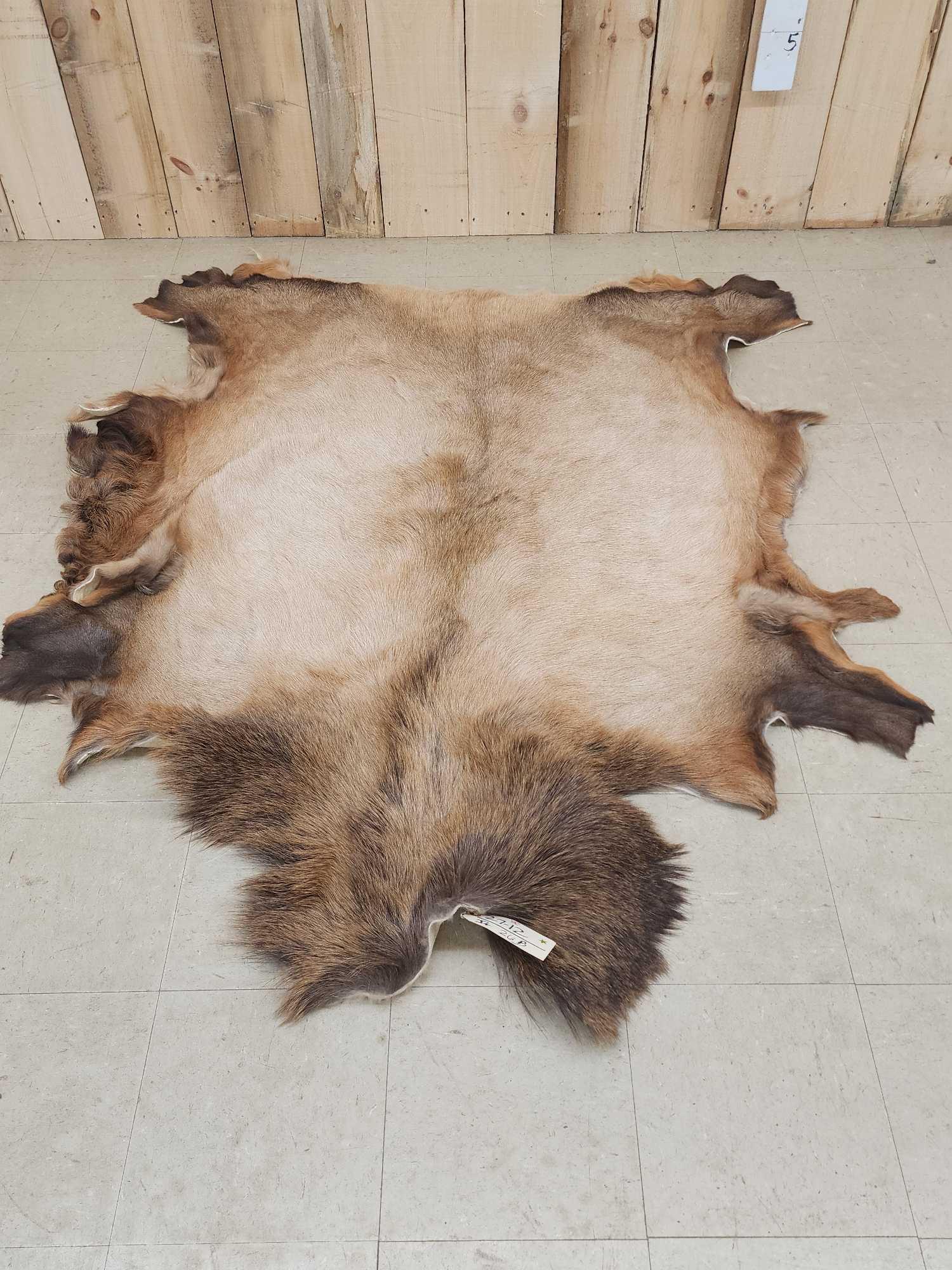 Soft Tanned Elk Hide (1 of 3)
