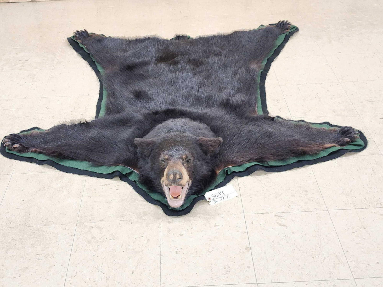 Nice Black Bear Rug Taxidermy (1 of 9)