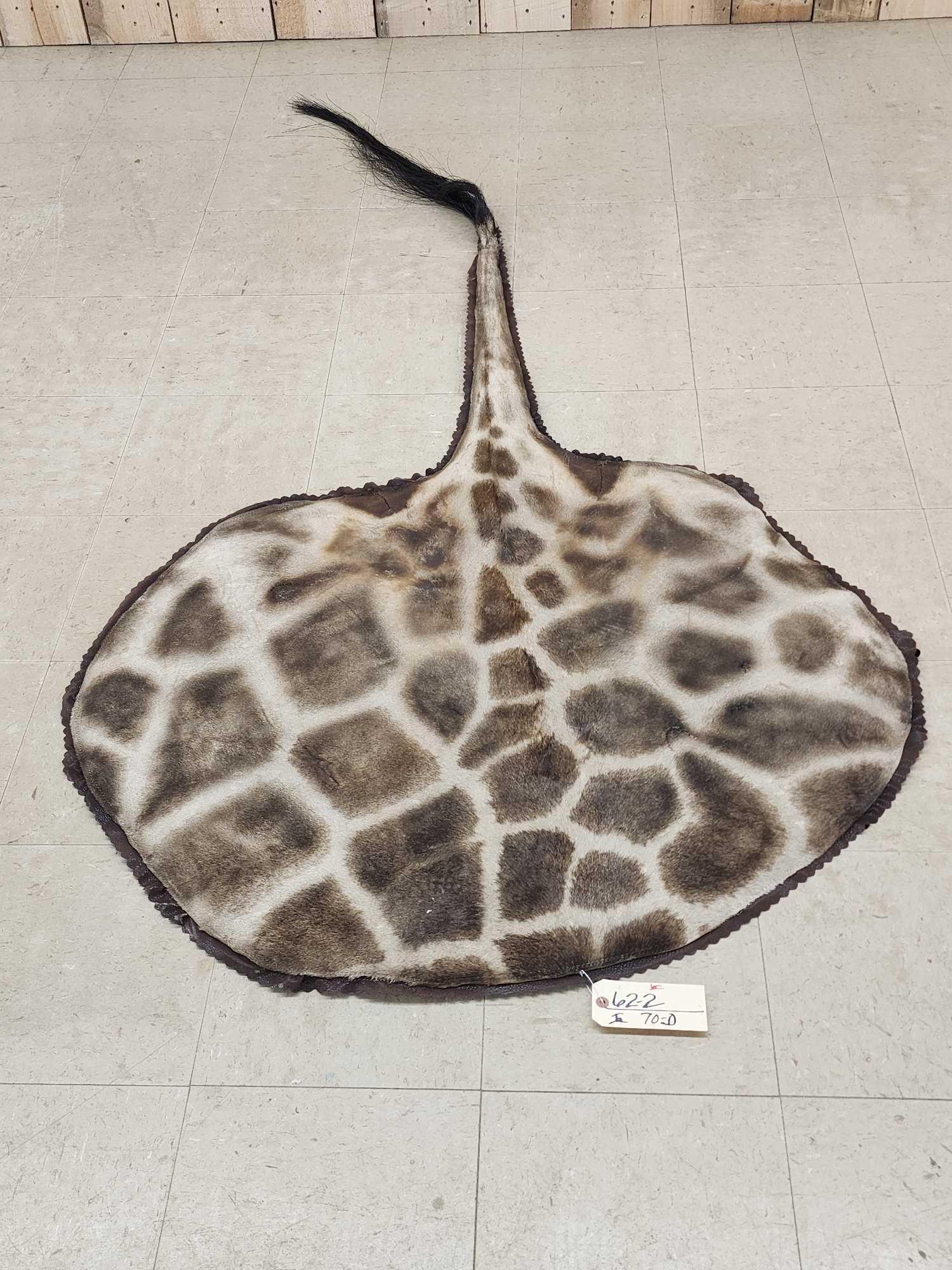 Giraffe Rump & Tail Rug Taxidermy (1 of 3)