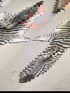 Big African Burchells Zebra Rug Taxidermy: 56.1 Excellent markings durable backing ni Ely done rug about 136" long x 81" wide