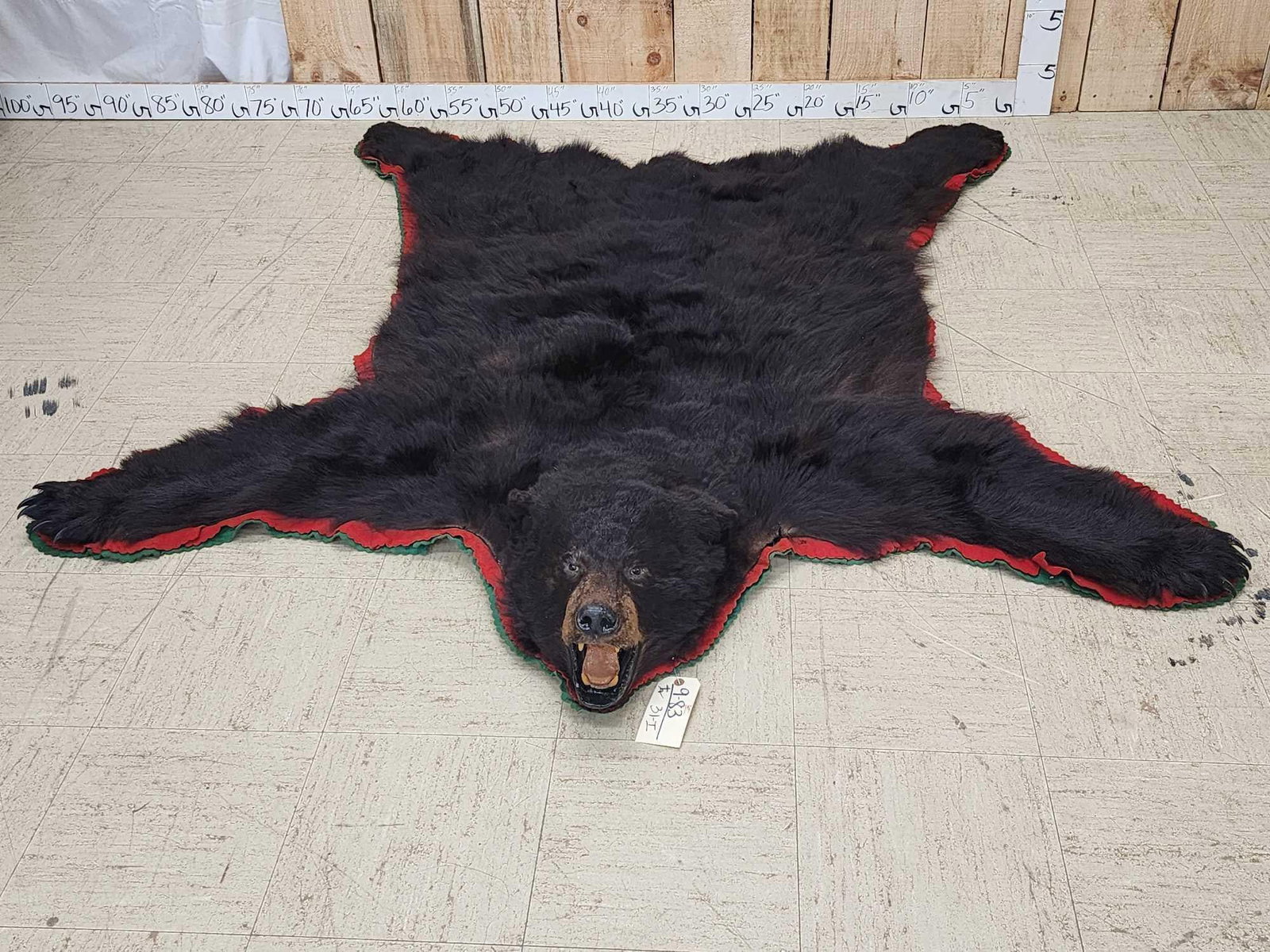 Black Bear Rug Taxidermy: 9.83 Big claws intact older rug but still pliable tan about 78" long x 72" wide