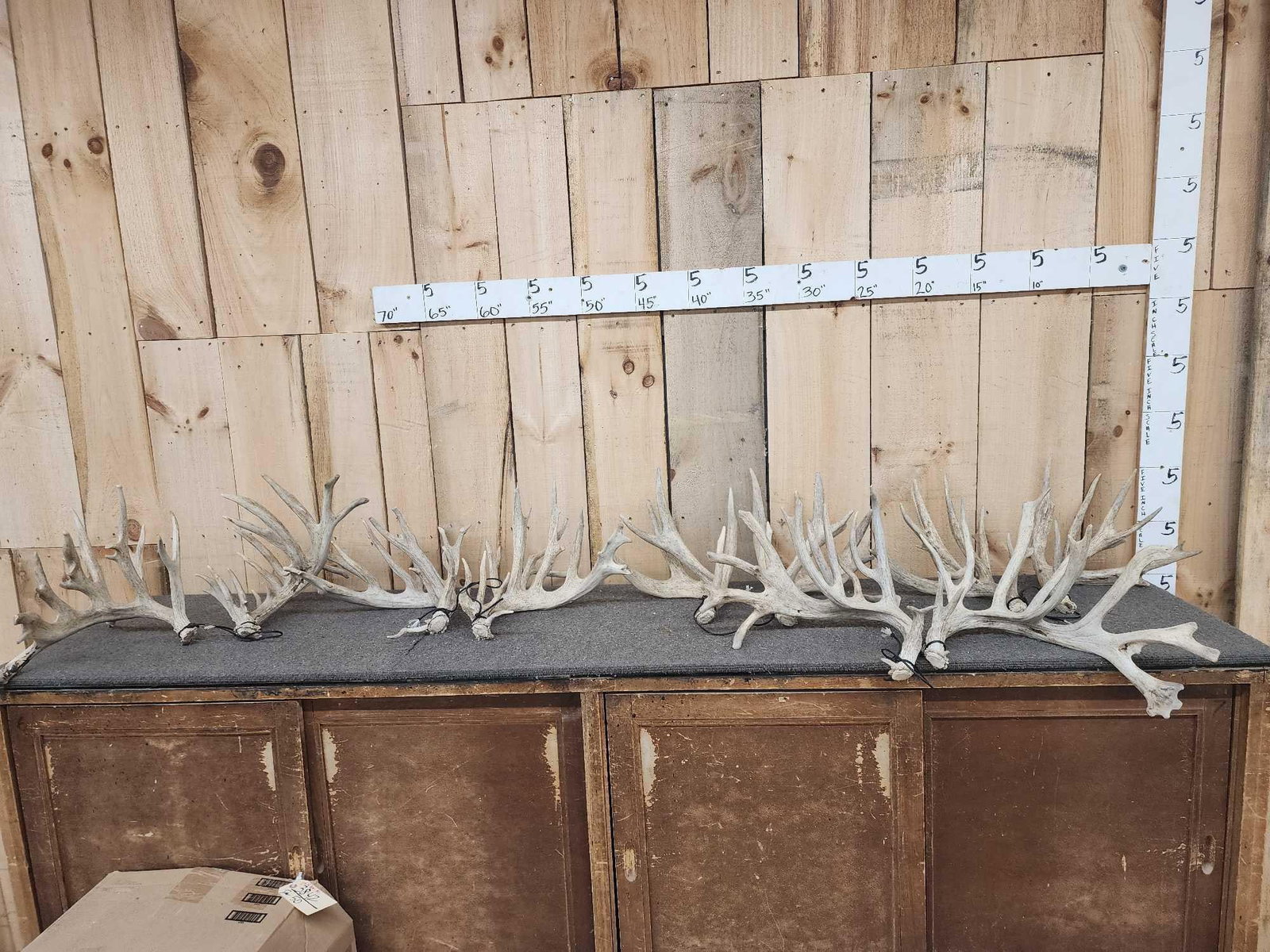 5 Big Matched Sets Of Whitetail Shed Antlers 25.4 Lbs: 38.42 All bigger collector sets